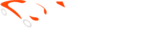auto-fex.com